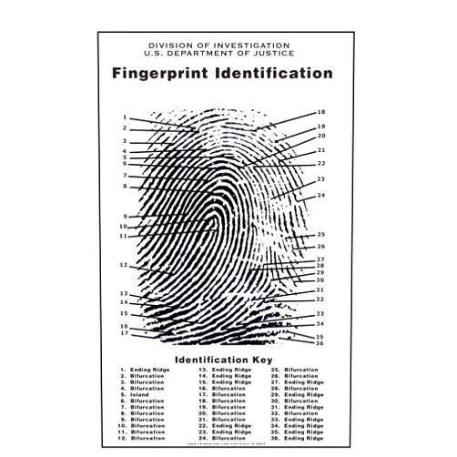 Crime Scene Fingerprint Chart, Poster Size 24