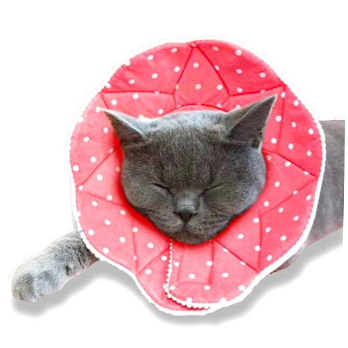 SunGrow Cat Cone Collar Soft, Pet Recovery Elizabethan E Collar Soft Neck Cone to Stop Licking for Cats & Kittens After Surgery, Cat Surgical Recovery Suit for Wound Cover, Puppy Dog & Rabbit Cone