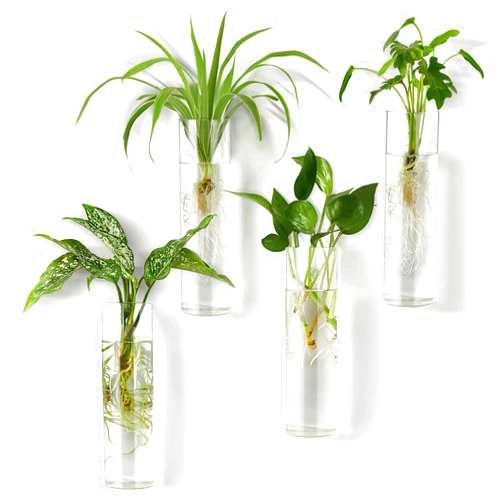 Mkono Propagation Station Wall Planter Hanging Glass Tubes Flower Vase for Hydroponics Plants, Bathroom, Home Office Living Room Decor Gift, Cylinder Set of 4
