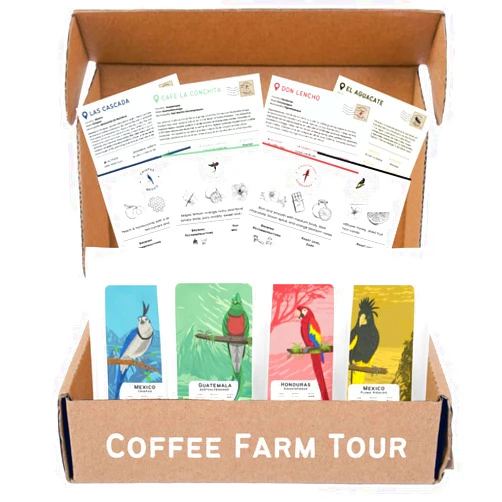 Canopy Point Coffee | Whole Bean Coffee | Coffee Bean Sample Pack | Gourmet Coffee Sampler | Single Origin Coffee Gift Set | Sampler Gift Box Set | Coffee Gifts | Specialty Coffee Gift Basket | 4 Pack Variety Set Sampler (Whole Bean)