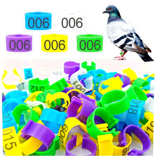 Keedolla 8mm 100Pcs Pigeon Leg Bands Bird Foot Rings with 5 Colors, Pigeon Bands Clip On Leg Rings Poultry Tags for Chicks Bantam Finch Dove Lovebird Quail Small Birds