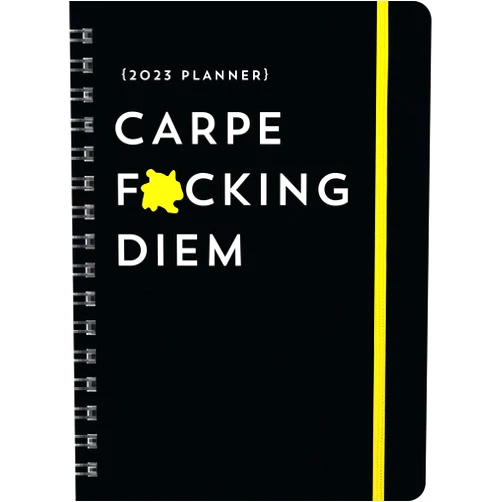 Sourcebooks 2023 Carpe F*cking Diem Planner: 17-Month Weekly Organizer with Stickers to Get Shit Done Monthly (AUGUST 2022-DECEMBER 2023) (Calendars & Gifts to Swear By)