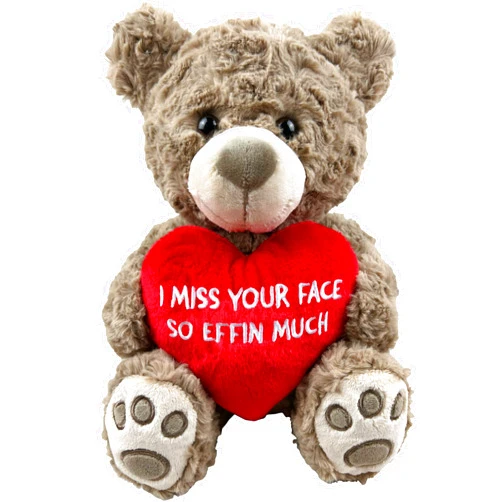 Messenger Bear I Miss Your Face Teddy Bear 10” Sitting | I Miss You Gifts for Her | Funny Gifts for Girlfriend