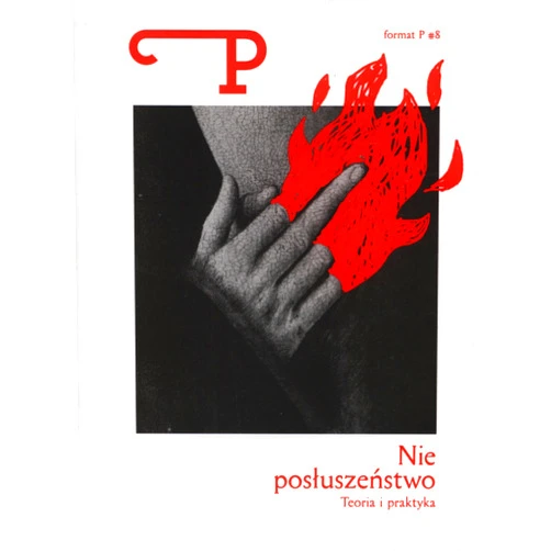 Polish Edition by Wright Stephen L (Author) W strone leksykonu uzytkowania