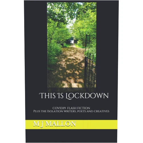 M J Mallon,Jackie Carreira,Ritu Bhathal,Tracie Barton-Barrett,Sharon Marchisello,Anne Goodwin,Marian Wood,Willow Willers,Sally Cronin,D G Kaye This Is Lockdown: COVID19 Flash Fiction plus the isolation writers, poets and creatives