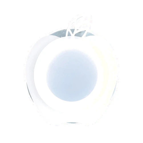 DGQ Extra Large 2