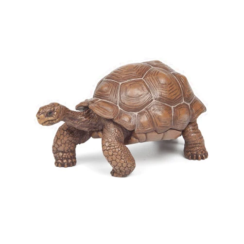 Papo Galapagos Tortoise Toy Figure