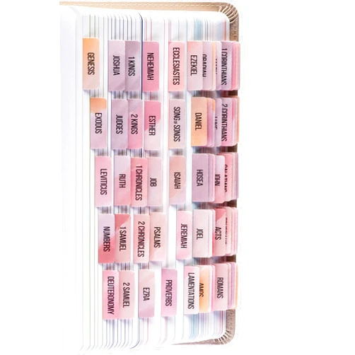 DiverseBee Laminated Bible Tabs (Large Print, Easy to Read), Bible Journaling Supplies, Bible Book Tabs, Christian Gift, 66 Bible Tabs Old and New Testament, Includes 11 Blank Tabs (Boho)