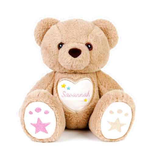 Customizedbee Custom Starlight Teddy Bear 13