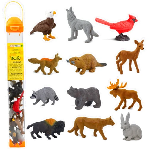 Safari Ltd. Nature TOOB - 12 Mini Figurines with Rabbit, Beaver, Doe, Gray Wolf, Fox, Black Bear, Moose, Mountain Lion, Bald Eagle, and More - Educational Toy for Boys, Girls & Kids Ages 3+