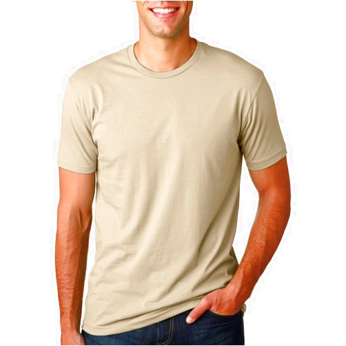Next Level Apparel Men's 6440