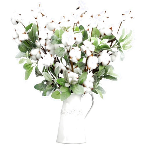 Thiccywoov 18 Pcs Cotton Stems 23.5