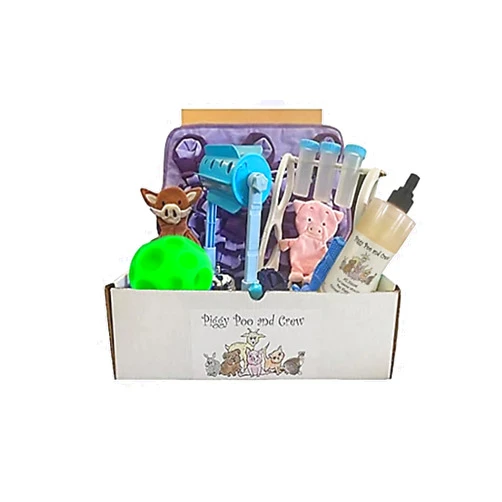AZ Micro Mini Pigs Pig Box New Pet Owner Includes A Snuffle Mat 2 Games 2 Treat Balls Shampoo Training Bell Chew Stick and Paper Crinkle Squeaker Toys Purple Mat and Blue Games
