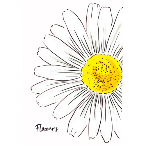 Rosa D'Avino TRACCE FLOWERS: Libera la tua creatività! Un quaderno originale per scrivere, disegnare e appuntare ogni tuo pensiero. (Italian Edition)