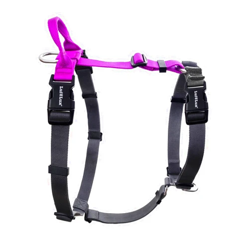 LufeLux Easy Walker No Pull Dog Harness for Large Dogs, Neck-Buckle, Six Points Adjustment for Ultimate Fit, Two Aluminum D-Rings for Back and Front Clip, Easy Put On/Off (Purple/Black, Large)