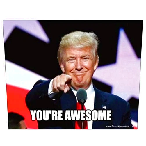 SassyXpressions You're Awesome - Trump Pointing at You - Refrigerator Magnet