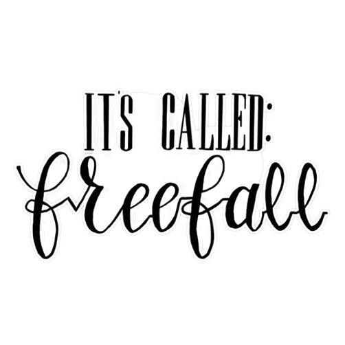 American Magnet MAGNET rks freefall Magnet Vinyl Magnetic Sticker 20 mil - Size 5