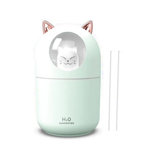 Dgffan Portable 300ml Mini Cool Mist Humidifier With Night Light, USB Auto Shut-Off, Ultra-Quiet, 2 Spray Modes for Home Office Travel (Green)