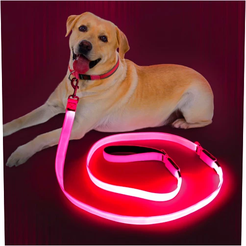 Dlitk Light Up Dog Leash, 6 Ft LED Leashes Rechargeable, Nylon Reflective Lead with Padded Handle for Night Walking, Safety Glow Lights for Large Medium Small Dogs(Pink, 6 Ft)