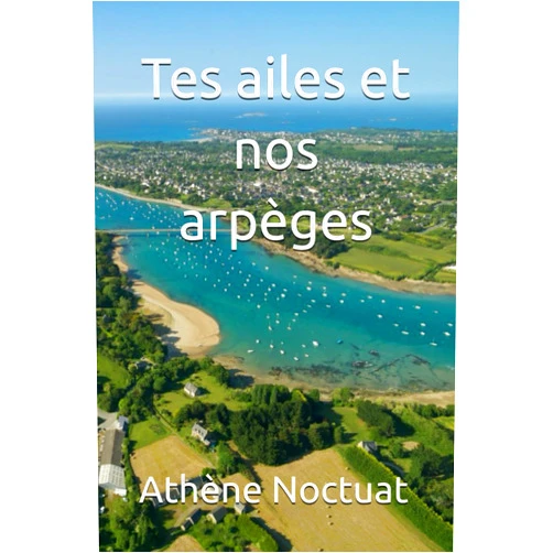 Athène Noctuat Tes ailes et nos arpèges