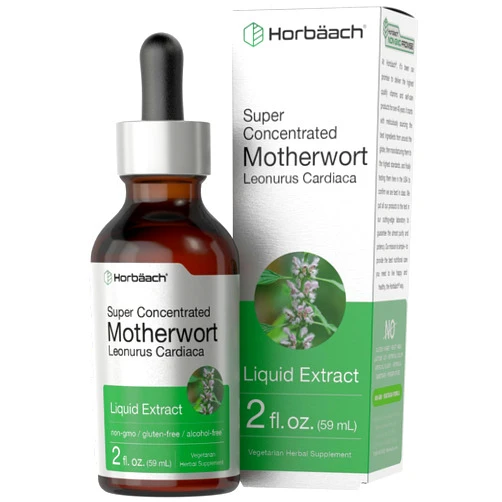 Horbäach Motherwort Herb Extract Tincture | 2 oz | Low Alcohol Liquid | Vegetarian | Leonurus Cardiaca | Non-GMO, Gluten Free