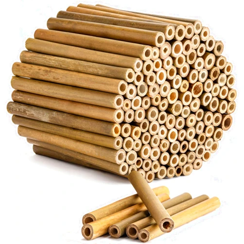 Rivajam 125 Bamboo Sticks for Crafts Supplies | Bamboo Craft Sticks & Mason Bee Tubes for Mason Bee House | Bamboo Reed Mason Bee Straws for Solitary Bee Box, Bee Hotel & Pollinator Gardens