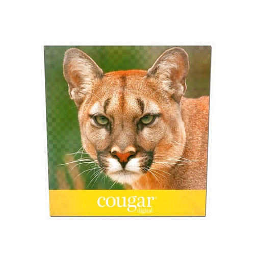 Cougar Domtar Cougar Digital 10% Recycled 8.5-inch x 11-inch Paper, 80 lbs., 98 Brightness, 250/Ream, 8 Reams/Carton (2986) (2986CASE)
