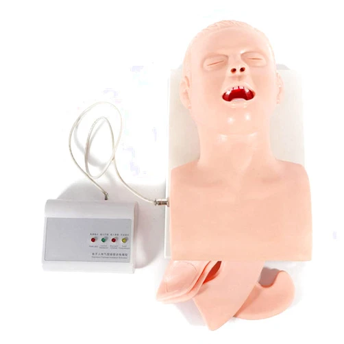 GHDE&MD Advanced Adult Oral Nasal Intubation Manikin Training Study Teaching Model Professional Airway Management Trainer PVC Demo, 110V-220V