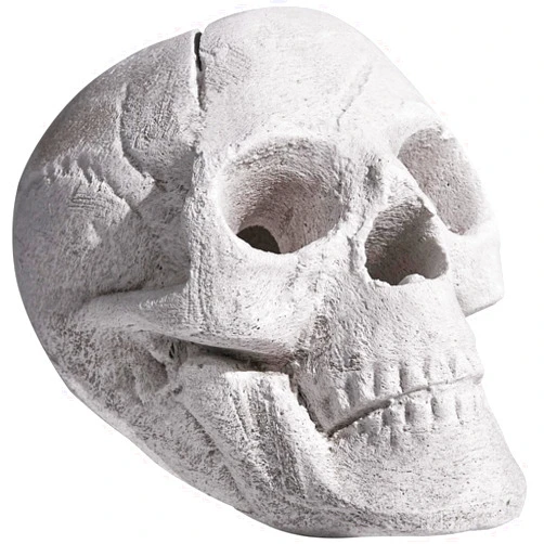 BIOMAND Ceramic Fire Pit Skull Logs for Indoor or Outdoor Fireplaces, Fire Pit, Bonfire, Campfire, Halloween Decor