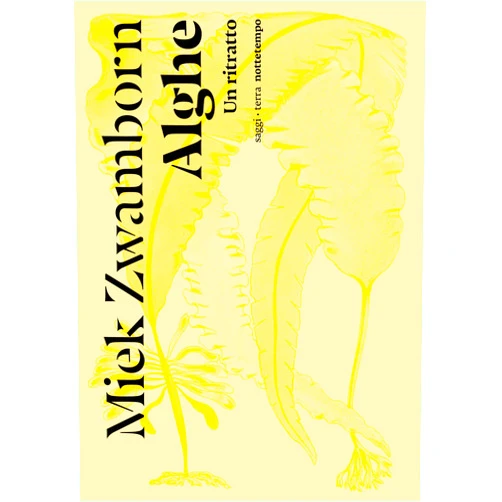 Italian Edition by Miek Zwamborn (Author), Stefano Musilli (Translator) Format: Kindle Edition Alghe (saggi | terra) (Italian Edition)