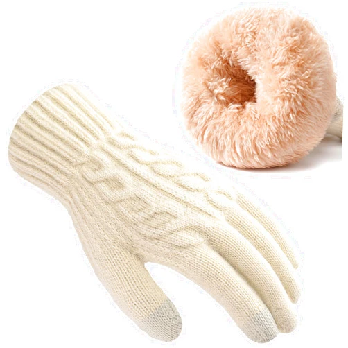 Pleneal Womens Winter Gloves - Gloves for Women Cold Weather, Womens Warm Fleece Lined Touch Screen Dual-Layer Glove