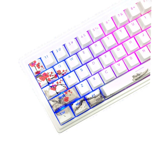 JSJT PBT Keycaps- Double Shot Shine Through Keycaps 129 Keys Plum Blossom Custom Keycap Set,Dye-Sublimation Cherry Profile Keyboard Keycaps for Cherry Gateron MX Switches Mechanical Keyboards