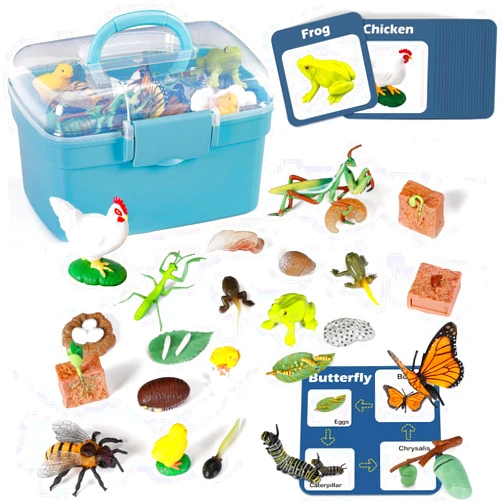 Bambilo Life Cycle Learning Toys for Kids: Life Science Education Kits with Butterfly, Frog, Chicken, Mantis, Bee, Plants - 25 Pieces Animal Figurines Montessori Toys for Children Age 3 4 5 6 7 8+