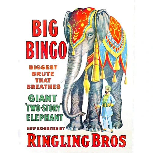 Wee Blue Coo Circus Elephant Big Bingo Ringling Bros Brute Giant USA Unframed Wall Art Print Poster Home Decor Premium