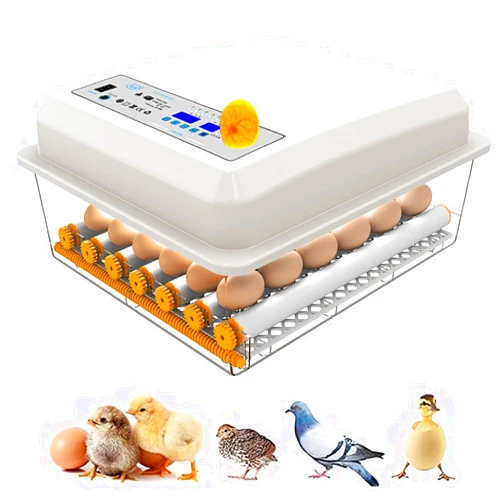 Beieyosu Egg Incubator, 36 Eggs Fully Automatic Poultry Hatcher Machine with Humidity Display, Egg Candler, Temperature Control & Automatic Egg Turner, for Hatching Chickens Quail Duck Goose Turkey