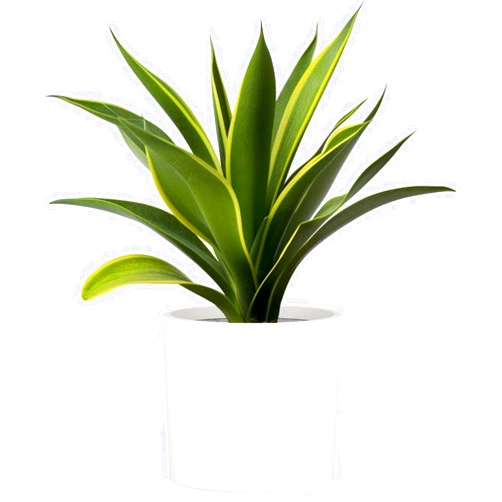 Fox & Fern Large 12 Inch Plant Pot with Hidden Saucer - Premium Lightweight Fiberstone Matte White Self Watering Planter; Large Outdoor & Indoor Plant Pot; 12 Inch Pots for Plants; Floor Planter