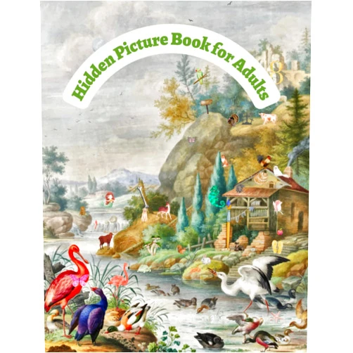 Guy Joseph Miron Hidden Picture Book for Adults: Seek and Find the Hidden Objects in the Pictures