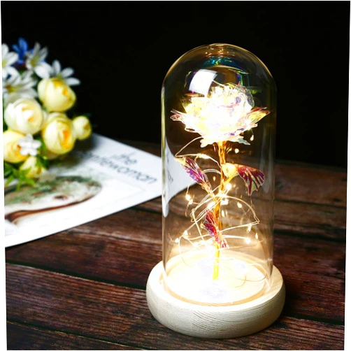 TINYOUTH 24K Rainbow Rose in Glass Dome, Beauty and The Beast Rose with 20LED 2M String Light, 3PCS AAA Batteries Included for Christmas Thanksgiving Wedding Anniversary Mother's Day Valentine's Day
