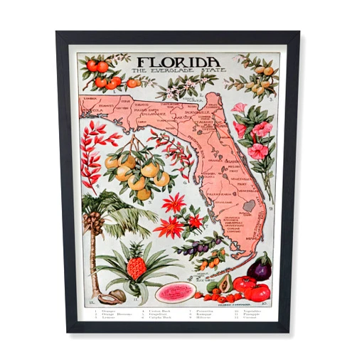 Poster Master Vintage Travel Poster - Retro Florida Print - Everglade State Art - Fruits & Flower Art - Gift for Men, Women, Travel Lover - Floral Decor for Bedroom, Office - 8x10 UNFRAMED Wall Art