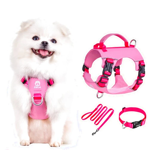 Arblina Pink Small Dog Harness & Collar & Leash Set, Lightweight Breathable Outdoor Dog Vests, Colorful, Light-reflective, Summer Canine Gear with Control Handle, No-pull D-ring -Pink XXS