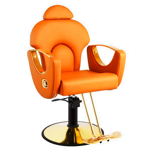 Dangvivi Professional Reclining Salon Chair, 360 Swive Styling Chair Hair Chair, Adjustable Hydraulic Barber Chair, Stylist Chair Hydraulic Pump, Salon Chair for Hair Stylist for Home
