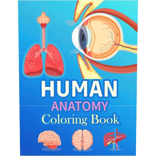 Tanishazi Press Publication Human Body Anatomy Coloring Book: Easy & Simple Human Body Parts And Anatomy Coloring Book Organs Anatomy Coloring Pages Fun And Educational Way To Learn About Human Anatomy Human Anatomy 10th Edition