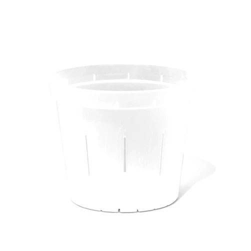 rePotme Orchid Pot - 6 inch Slotted Clear Orchid Pots - 3 Pack (Crystal Clear)