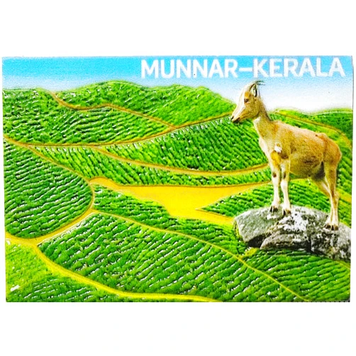 Tianfulai Munnar Kerala India Refrigerator Magnet Tourism Souvenir 3D Fridge Decoration Craft