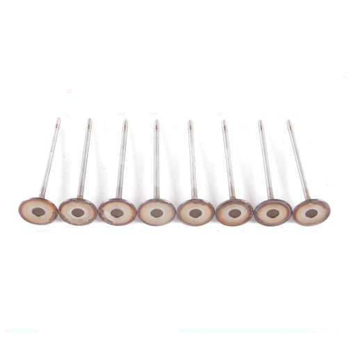 WXHYWWF Engine Intake Valves Fit for Cruze Sonic Astra 55557741