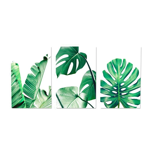 Soapow 3Pcs Banana Leaf Canvas Wall Art Painting Modern Style Printed Picture for Home Office Decor Modern Minimalist Banana Leaf