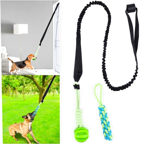 Eaersan Spring Pole Dog Rope Toys,Dog Interactive Tether Tug of War Toy,Dog Indoor/Outdoor Bungee Hanging Toy for Exercise and Solo Play for Small Medium to Large Dogs（1 Chew Rope 1 Dog Rope Ball ）