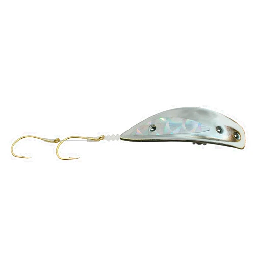 Pro-Troll Fishing Products Kokanee Killer Lure with EChip, Size 1.0, Chrome