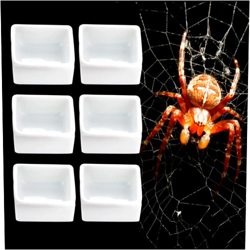 DQITJ 6 Pack Tarantula Ceramic Feeding Bowl Hermit Crab Small Water Bowl Spider Small Reptile Micro Ceramic Food Dish (Square Shape)