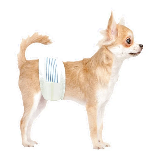 BV Dog Diapers Male X-Small (Waist 9-14 in) Super Absorbent - 50 Count Male Dog Diapers Disposable - Doggie Diapers with Wetness Indicator - Adjustable Male Dog Wraps - Ideal for Incontinence/Training